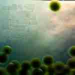 Spirulina nella medicina tradizionale: Segreti ancestrali svelati Rappresentazione artistica delle microalghe spirulina nell'acqua, con antichi simboli aztechi sullo sfondo