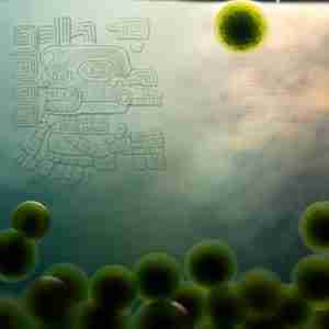 Scopri di più sull'articolo Spirulina nella medicina tradizionale: Segreti ancestrali svelati