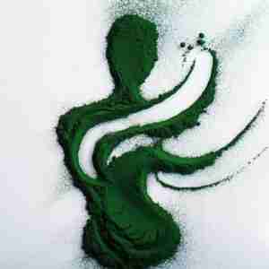 Scopri di più sull'articolo Spirulina per dimagrire: segreti dell’alga miracolosa