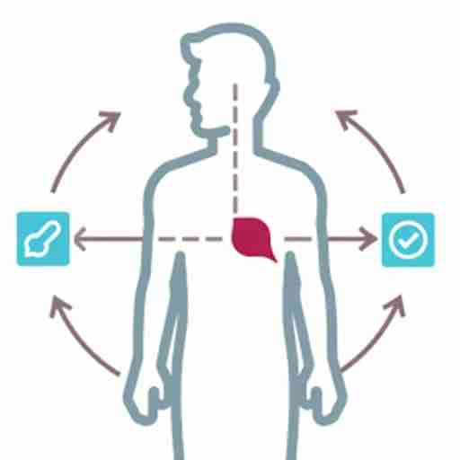 Comprendere lo stress e il ruolo degli integratori: Infografica che illustra il processo fisiologico dello stress nel corpo umano, con frecce che indicano i punti di intervento degli integratori