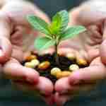 Gestione dello stress con integratori naturali: una guida completa: Mani che tengono delicatamente una pianta verde in crescita, con pillole naturali sparse intorno, simboleggiando la gestione dello stress con integratori naturali