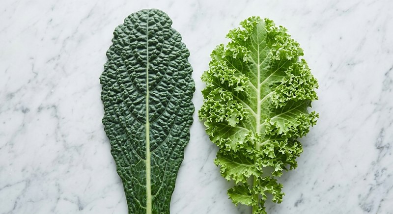 Confronto tra foglia di cavolo nero toscano e kale riccio